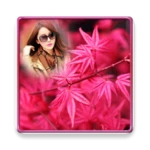 autumn photo frames android application logo